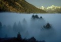 baeume_im_nebel2 * 660 x 466 * (19KB)