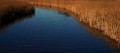 fluss_durch_reet * 660 x 296 * (16KB)