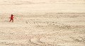 strandlaeufer * 600 x 330 * (47KB)