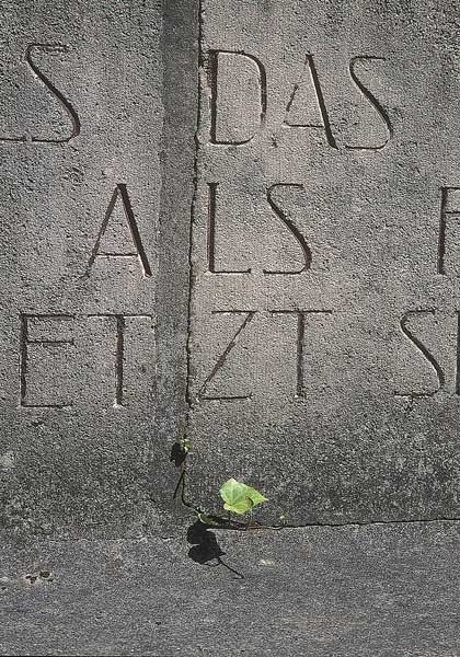 Letztes Bild erreicht