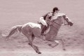 im_galopp * 600 x 400 * (20KB)