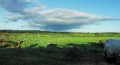 Landschaft_web_0009pano * 660 x 361 * (284KB)