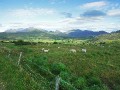Landschaft_web_0017q * 660 x 495 * (448KB)