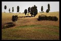 q0002 * 800 x 547 * (119KB)