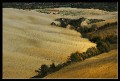 q0002a * 800 x 545 * (136KB)