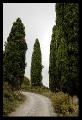 q0005b * 411 x 599 * (154KB)