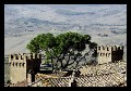 q0006 * 802 x 562 * (157KB)