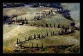 q0008 * 800 x 547 * (161KB)