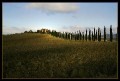 q0009a * 799 x 544 * (130KB)