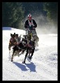 Hunderennen_hoch_0013 * 432 x 600 * (143KB)