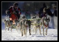 Hunderennen_quer_0005 * 660 x 475 * (134KB)