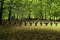 Sammelgraeber_web * 900 x 600 * (238KB)